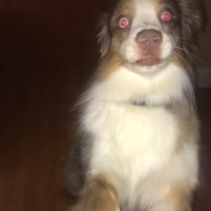 Meet your Posher, Kaitlyn